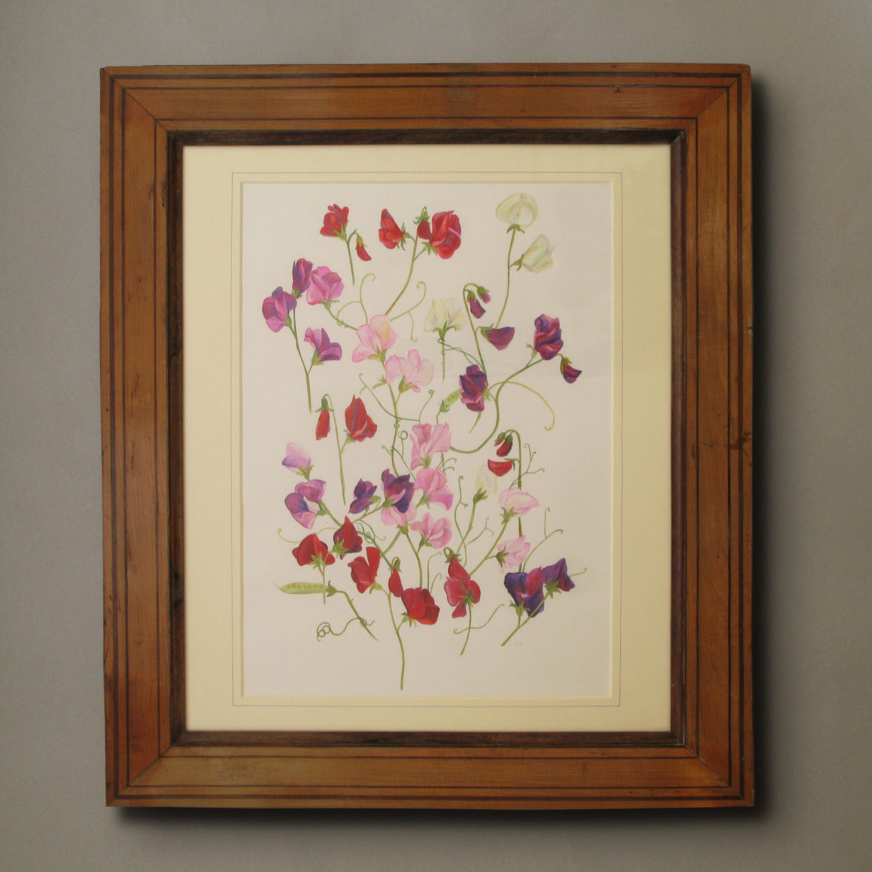 A watercolour of sweet peas