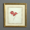 A late 19th century botanical watercolour